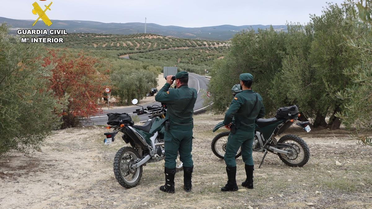 Agentes del Seprona durante un servicio en una zona de olivares de la provincia de Córdoba.
