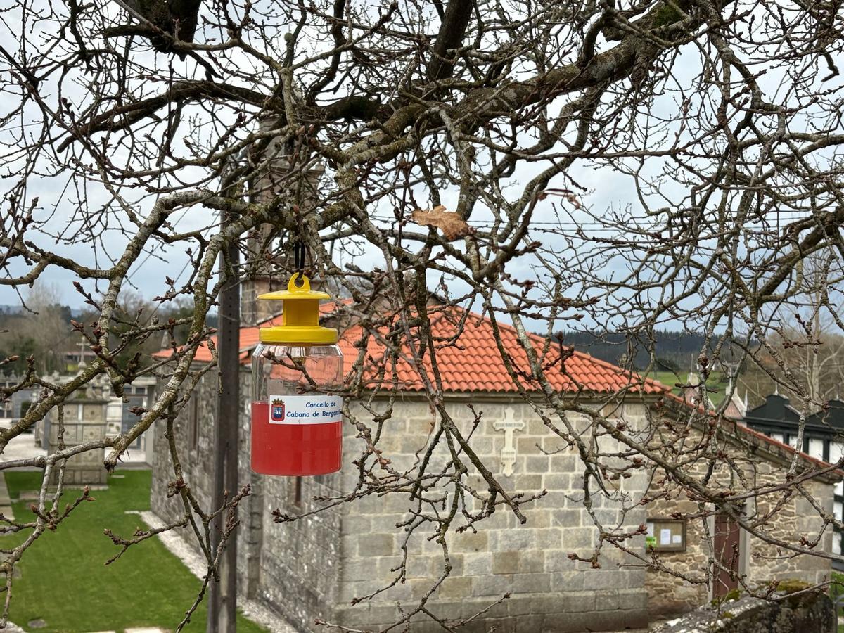 Unha das trampas xeolocalizadas ubicada ao pé dunha igrexa en Cabana.