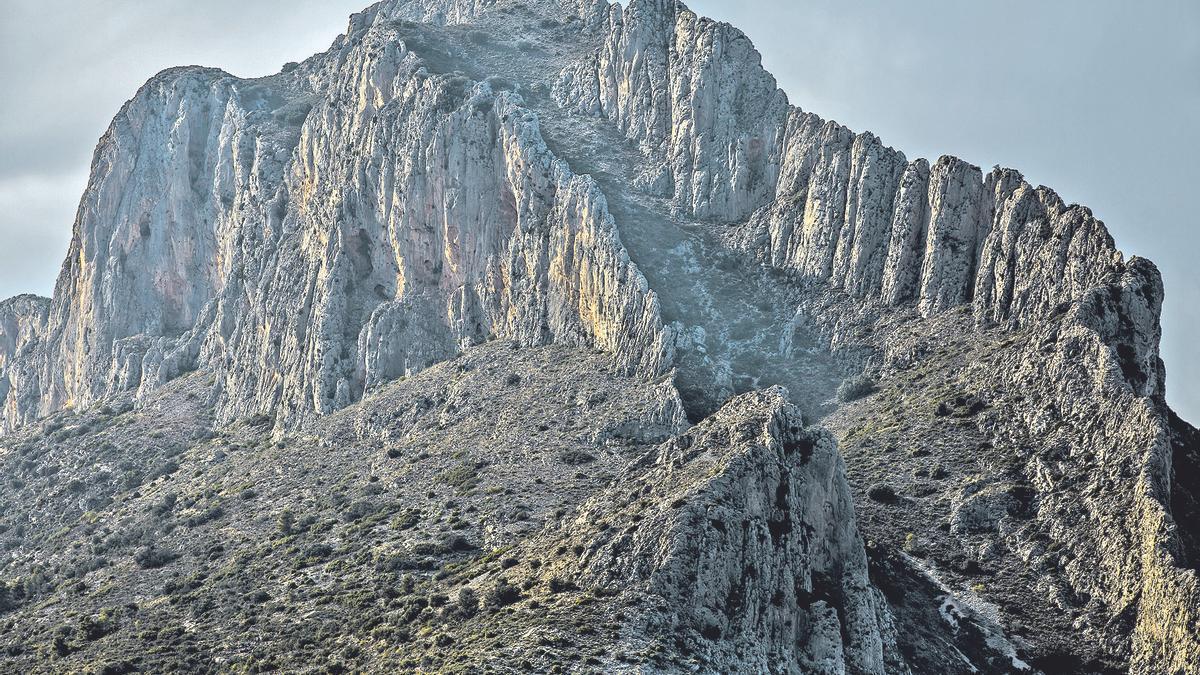 Carrícola, en la umbría del Benicadell