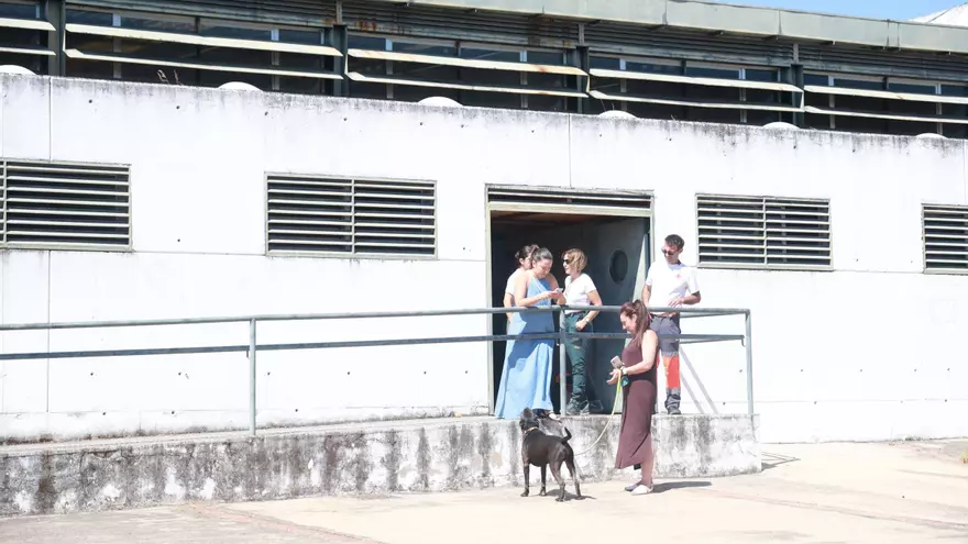 Los vecinos de Cíjara vuelven a sus casas tras casi 24 horas de angustia y se reabre la N-502