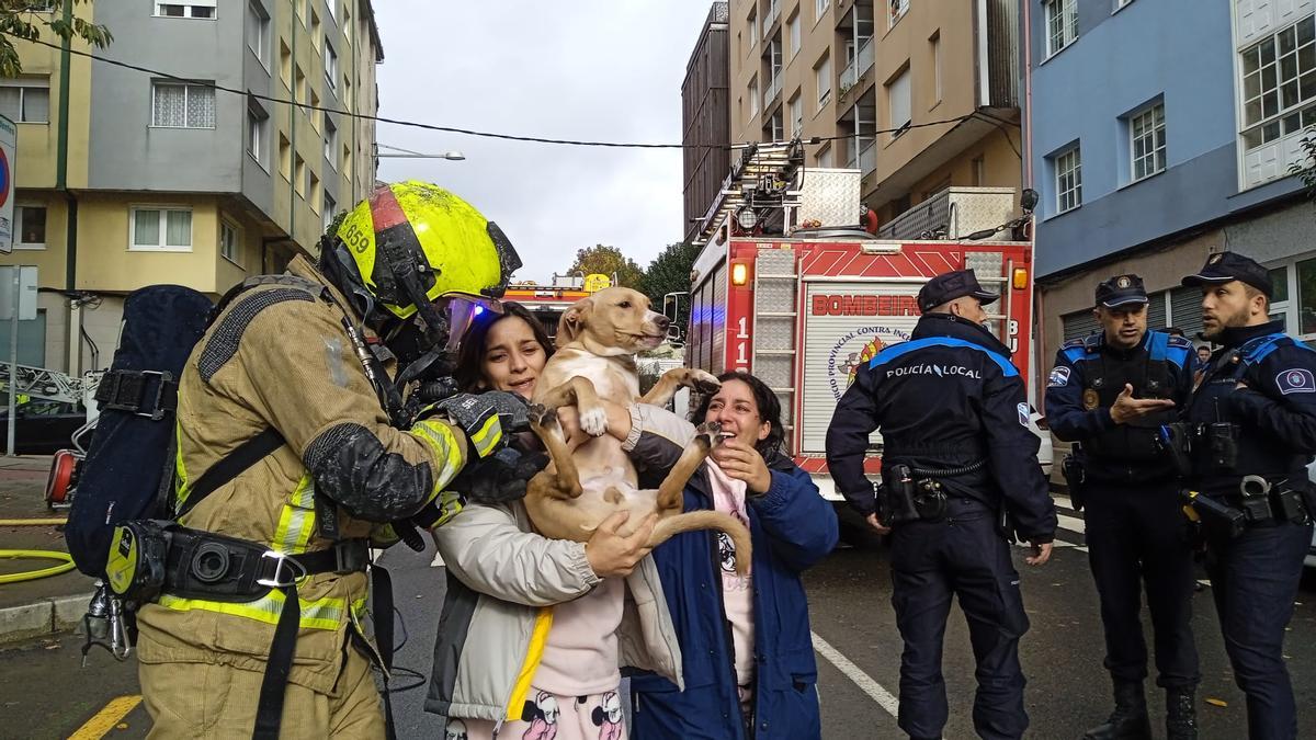 Momento en el que uno de los bomberos entrega a Nina el perro que quedaba en el edificio
