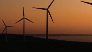 Molinos de viento.