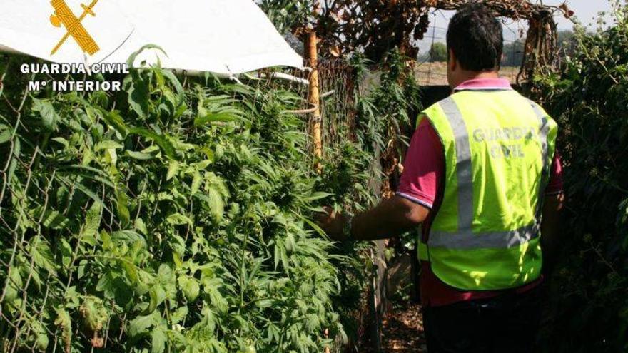 Intervenidos 575 kilos de marihuana en Zuera y Mozota