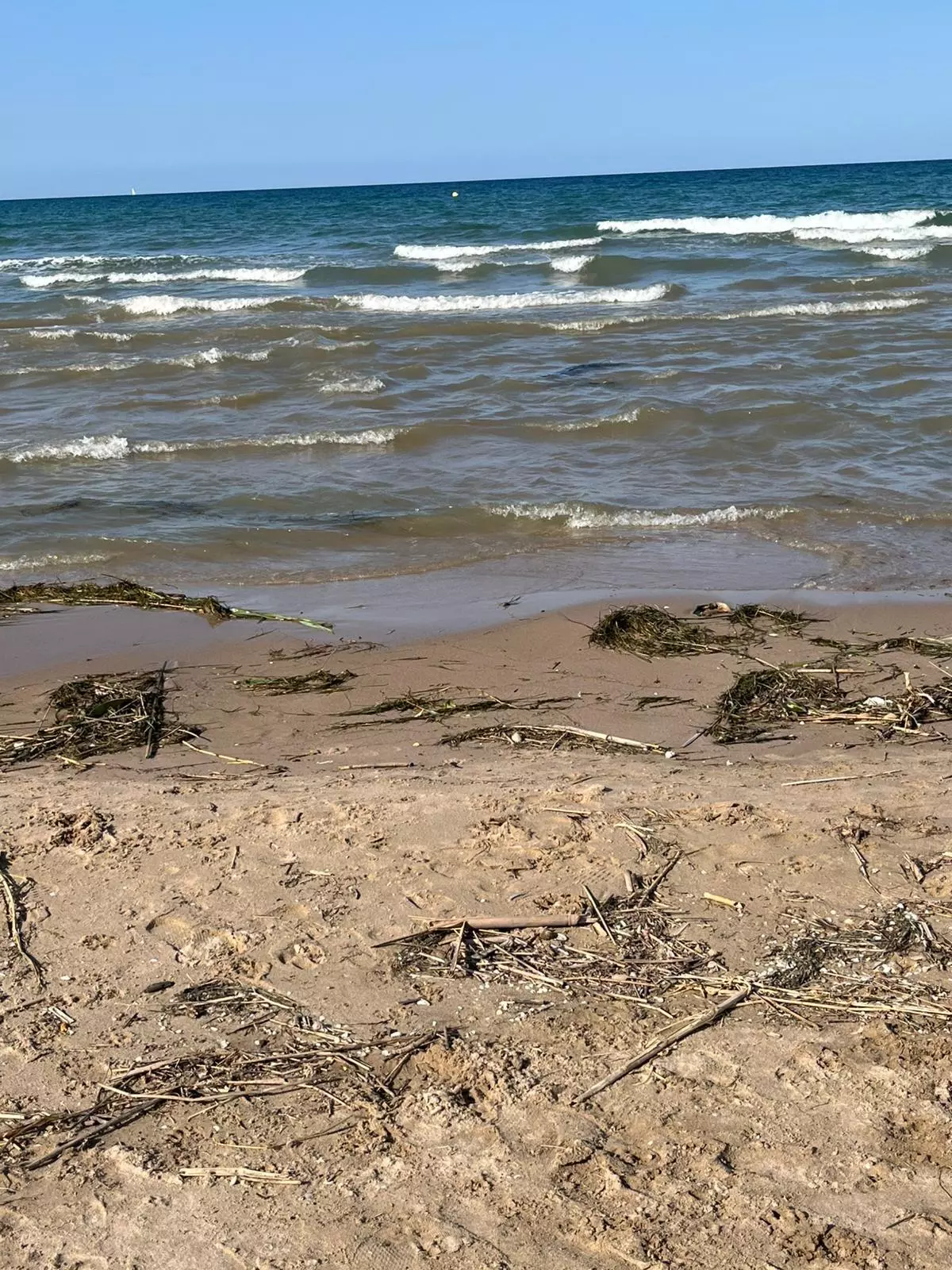 Vecinos de Motilla y Les Palmeres denuncian el deterioro de la playa y reclaman soluciones urgentes