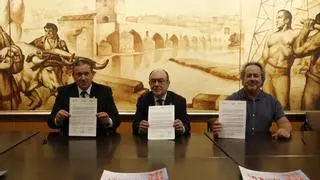 Las instituciones de Zamora llaman a la movilización por el tren Ruta de la Plata