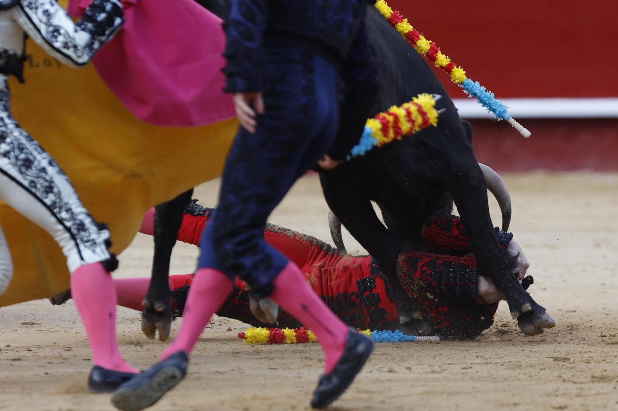 La novillada sin picadores de la Feria de Fallas, en imágenes