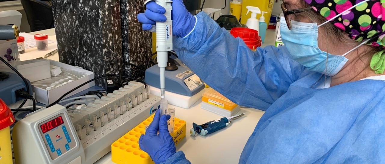Una mujer lleva a cabo una prueba PCR