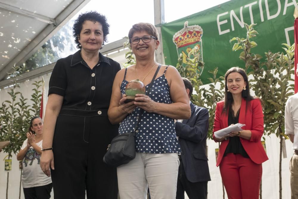 La Festa da Sidra de la parroquia viguesa rompe todas la previsiones, con más de 5.000 asistentes, 1.200 litros del brebaje despachados y 6.000 botellas vendidas. El ANPA Bene Vivere, manzana de oro.