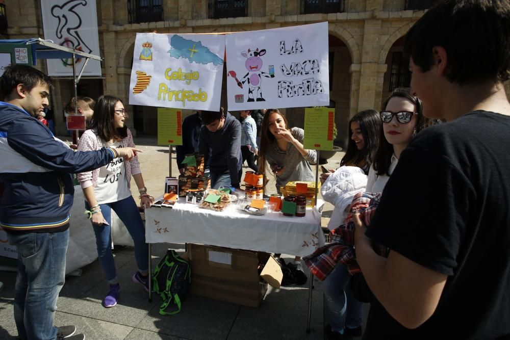 Mercado de cooperativas y asociaciones en Avilés