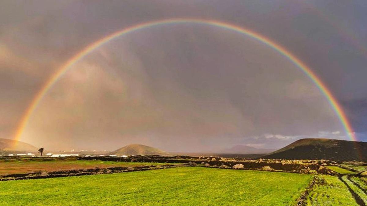 Lluvias mansas para regar los campos en Lanzarote y Fuerteventura 