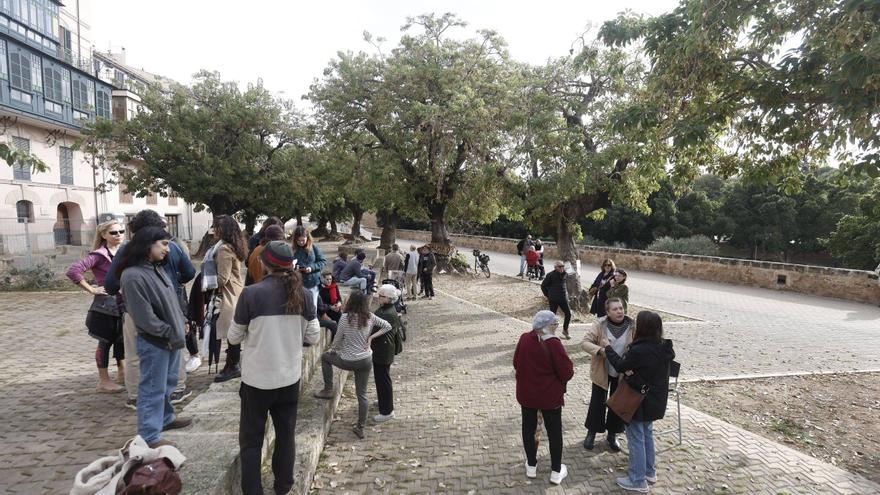 Los vecinos niegan haber retirado las vallas de los bellasombra y piden diálogo al Ayuntamiento de Palma