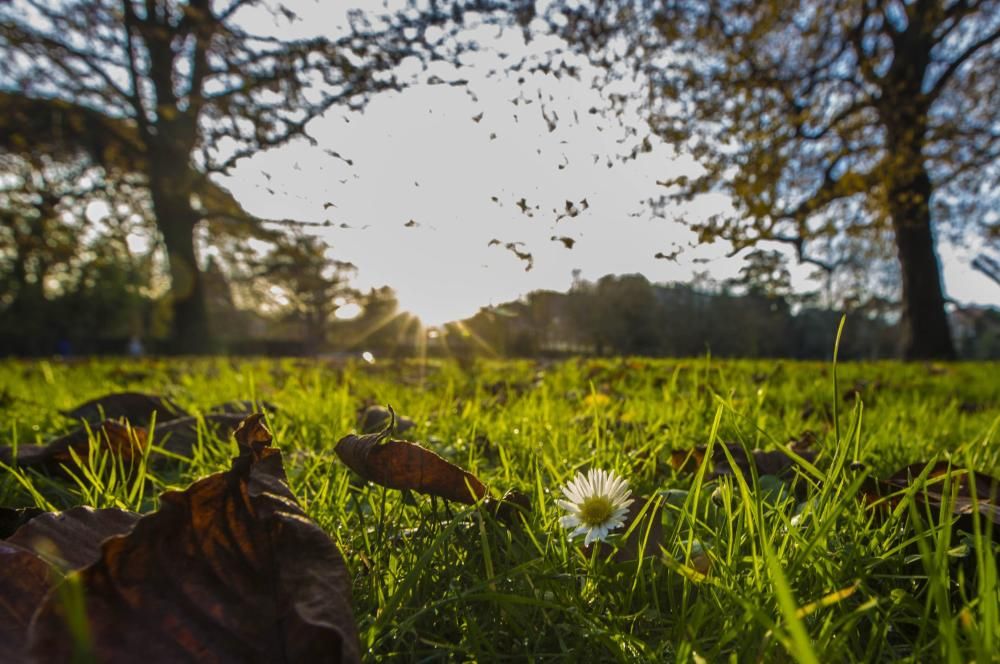 Asturias, un paraíso en otoño