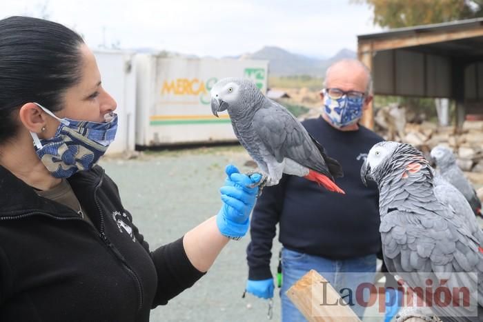 Las Águilas del Sol de Puerto Lumbreras piden ayud