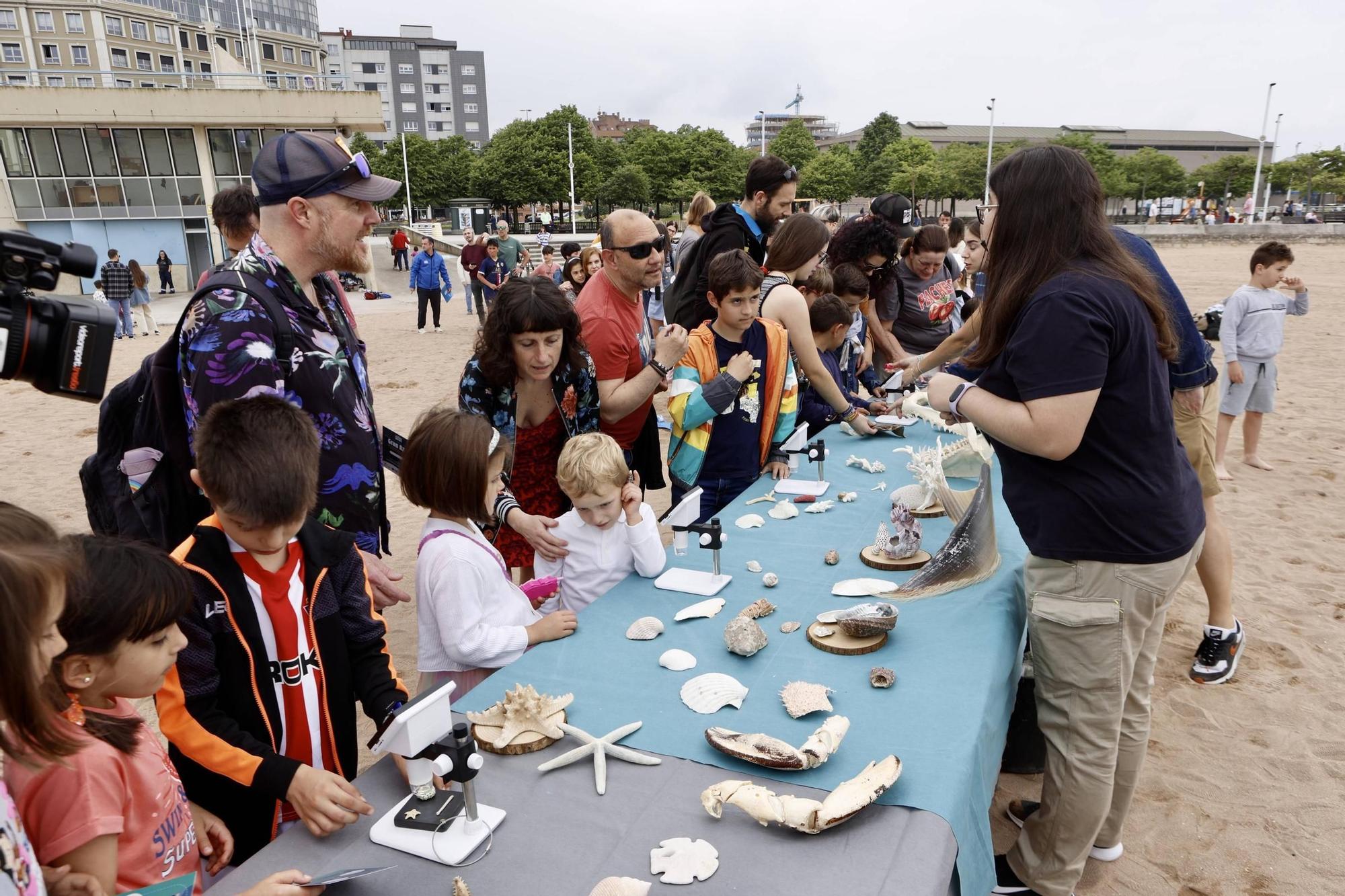 Así fue la suelta de tiburones en Gijón por el Día de los Océanos (en imágenes)