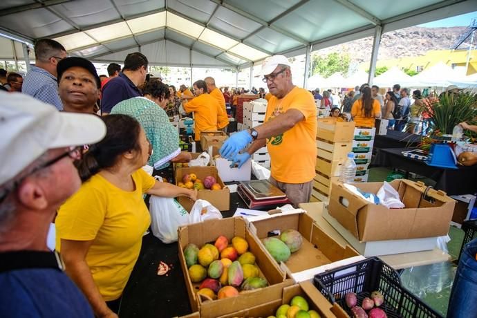 Mogán. Feria del Mango y Aguacate  | 01/09/2019 | Fotógrafo: José Carlos Guerra