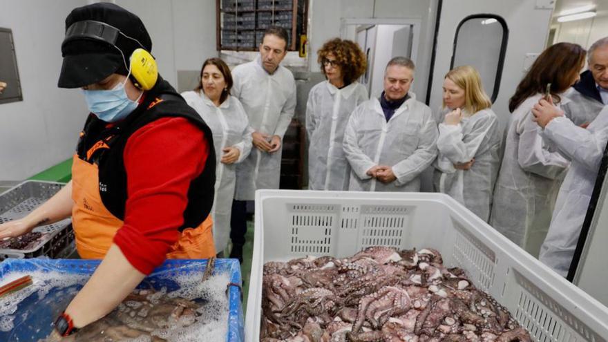 Visita de ayer a Frigoríficos Rosa de los Vientos