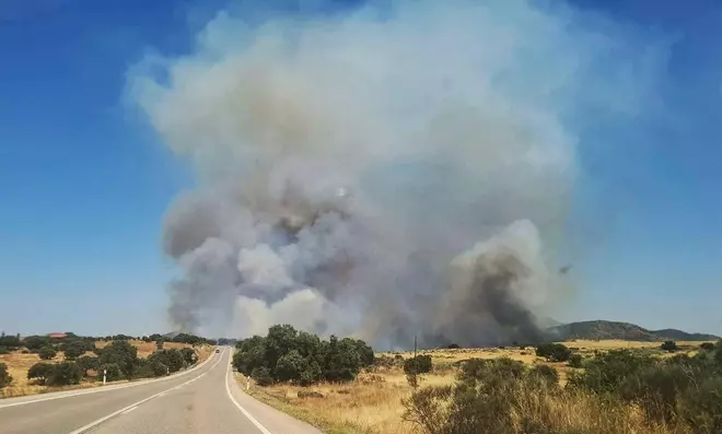Un incendio forestal en Cáceres corta la A-66