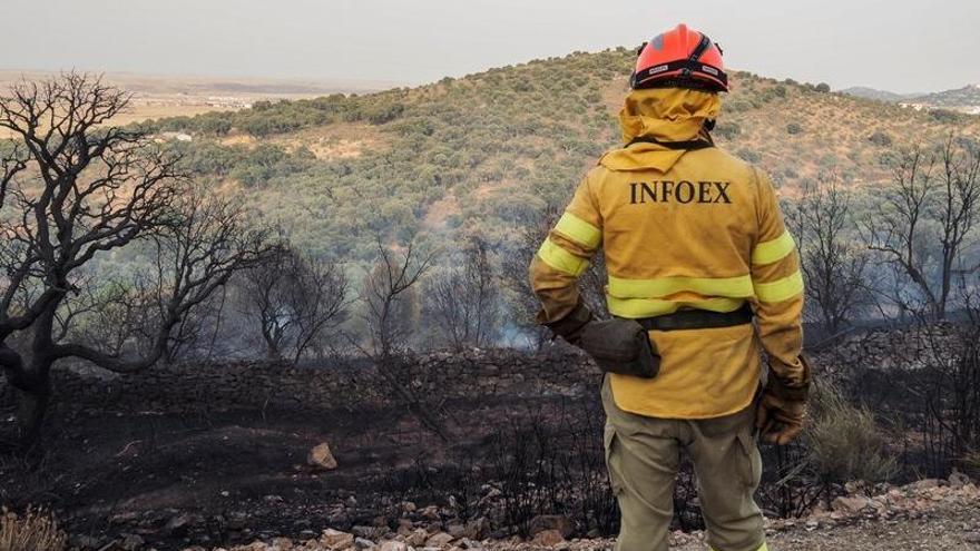 «Ahora hay menos incendios pero son más violentos»