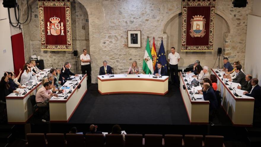 Anuncian en Marbella siete millones de euros en seguridad vi