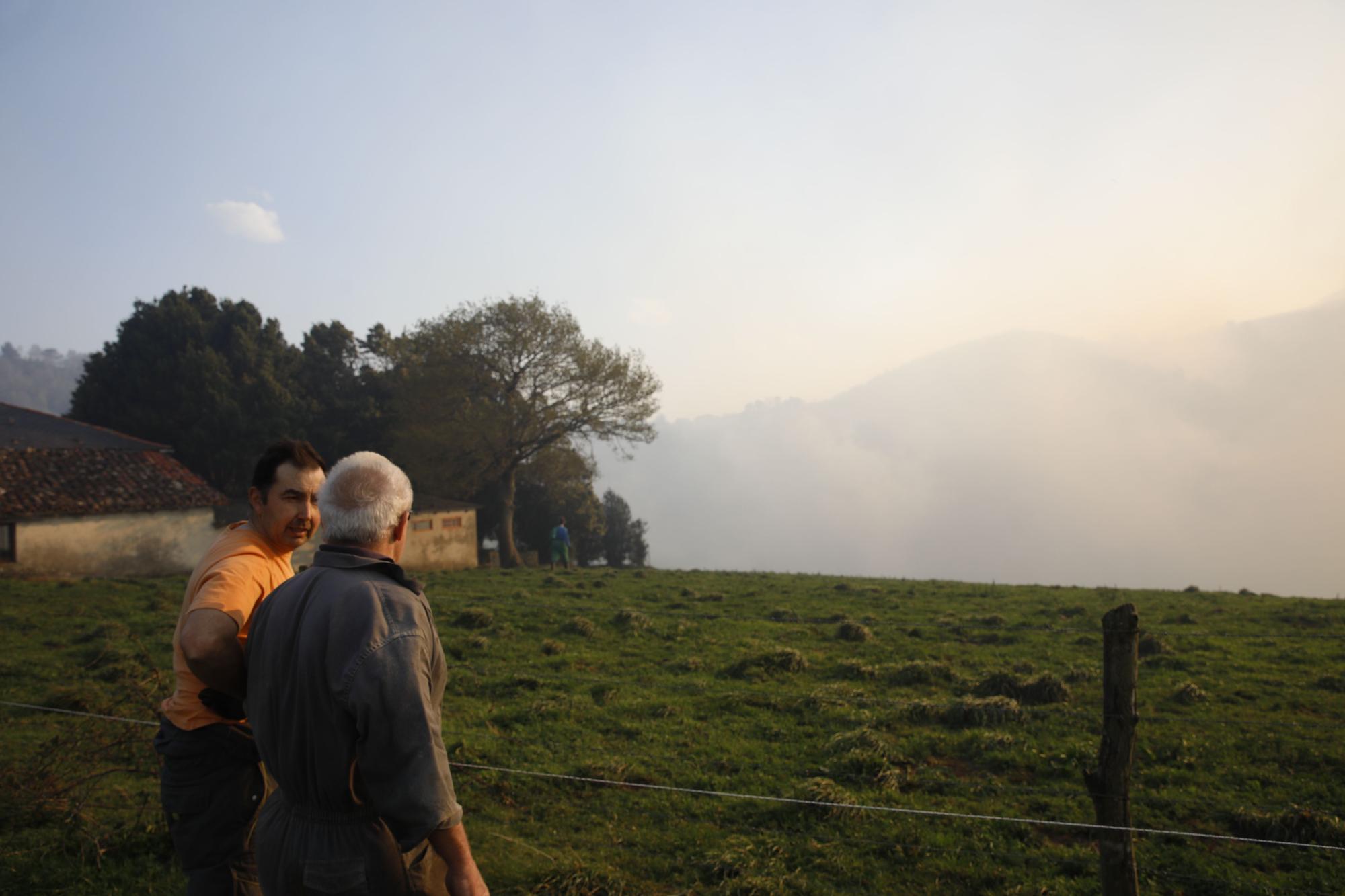 Las imágenes del preocupante incendio en Tineo