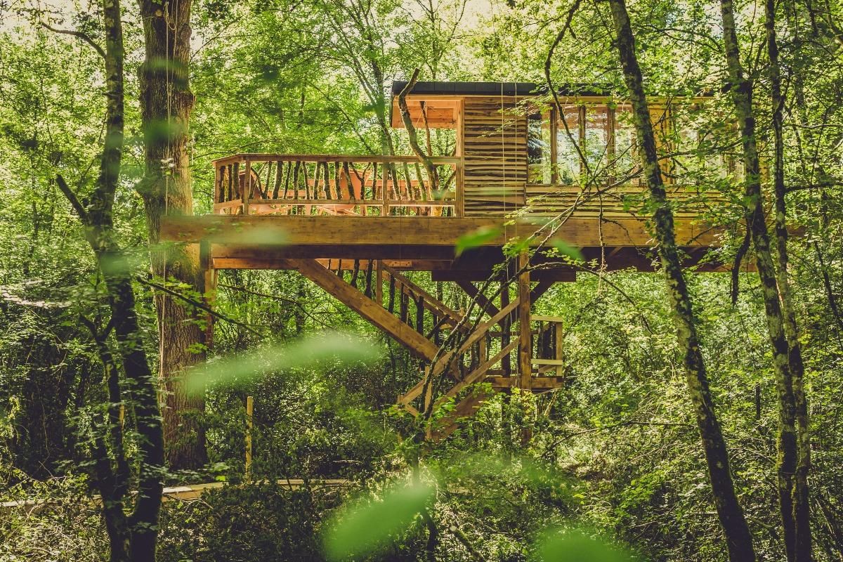 Basoa Suites, cabañas en robles centenarios en Navarra.