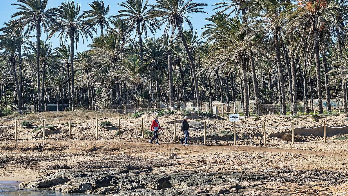 Valla que delimita la propiedad privada del palmeral de Ferrís y la cala protegida. Entre la valla y el mar discurre la vía pecuaria.