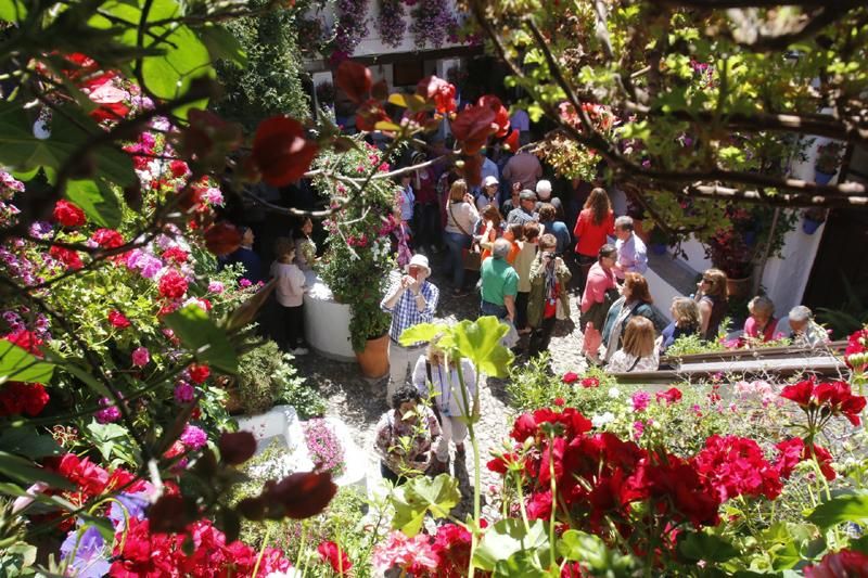 Las imágenes del primer día de Patios