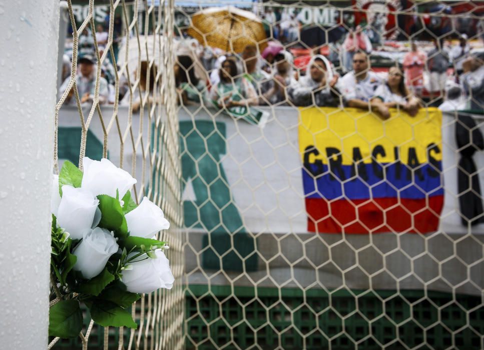 La afición del Chapecoense honra a los jugadores fallecidos