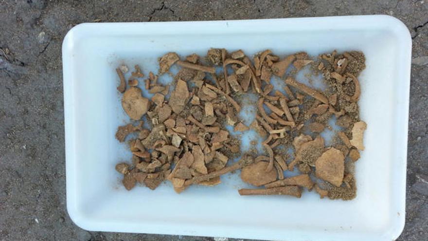 Restos del esqueleto del bebé hallados esta mañana en el yacimiento de A Lanzada. // Fdv