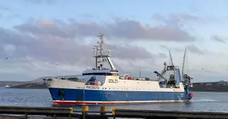 Malvinas otorga nuevas licencias de pesca para 25 años a las firmas con capital gallego