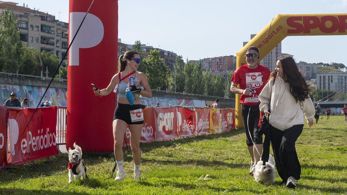 Carrera Can We Run 2026