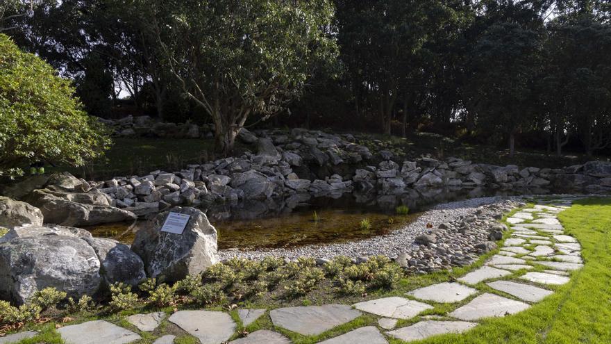 El estanque del Monte de San Pedro recobra la vida