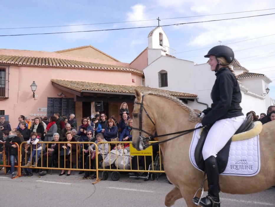 Fiesta de Sant Antoni Abad de Vera