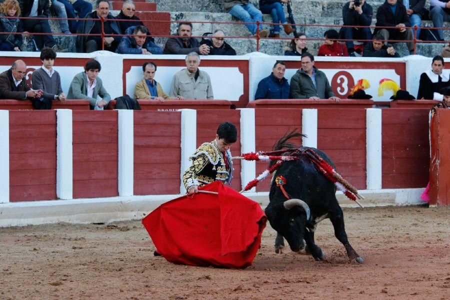 Tarde de toros en Zamora