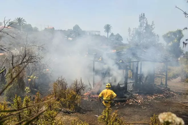 Conato de incendio en La Palma