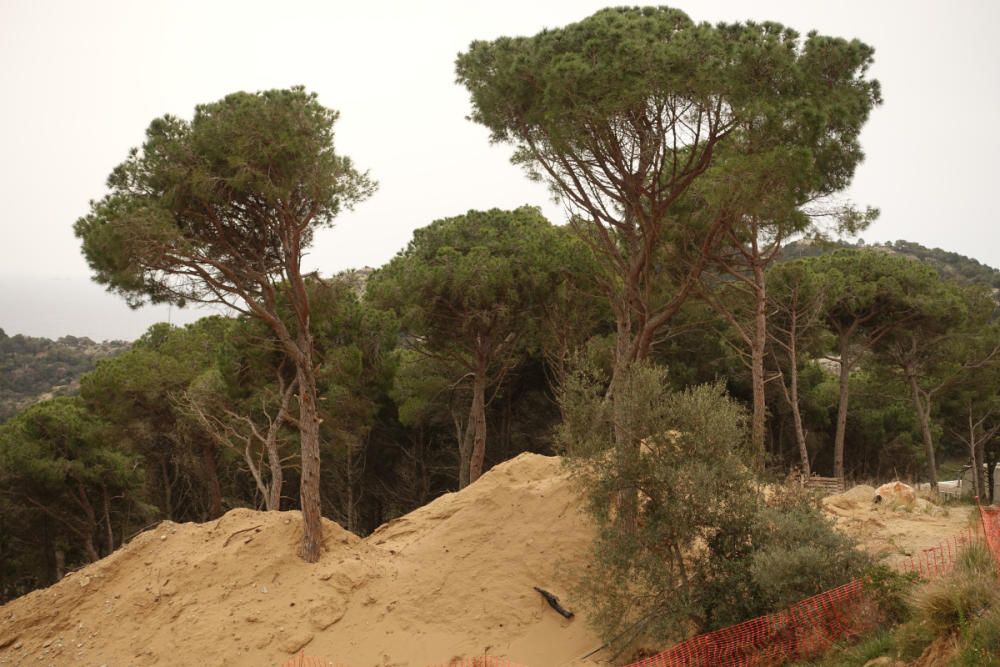 Denuncien l'Ajuntament de Begur per permetre la construcció d'habitatges en un espai protegit