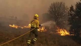 Lío en las Cortes: "no" a las enmiendas del PSOE sobre el incendio de la Sierra de la Culebra