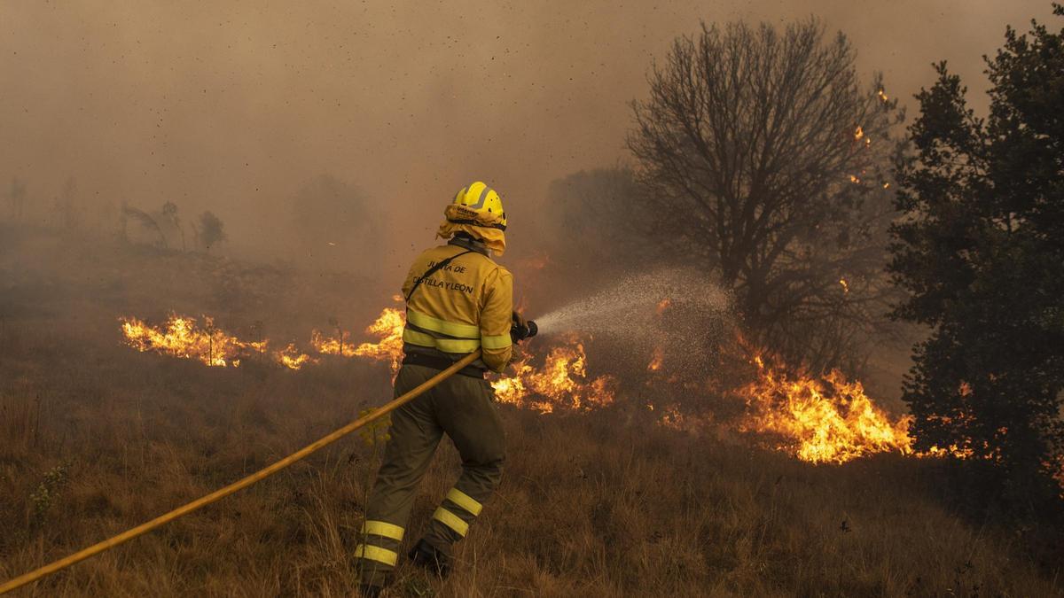 Un efectivo, en las labores de extinción de un incendio en la Sierra de la Culebra