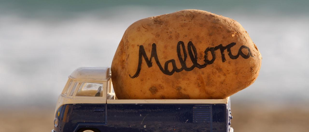 Deutsche Kartoffeln sind bei den Residenten auf Mallorca sehr beliebt und werden im deutschen Supermarkt häufig eingekauft.