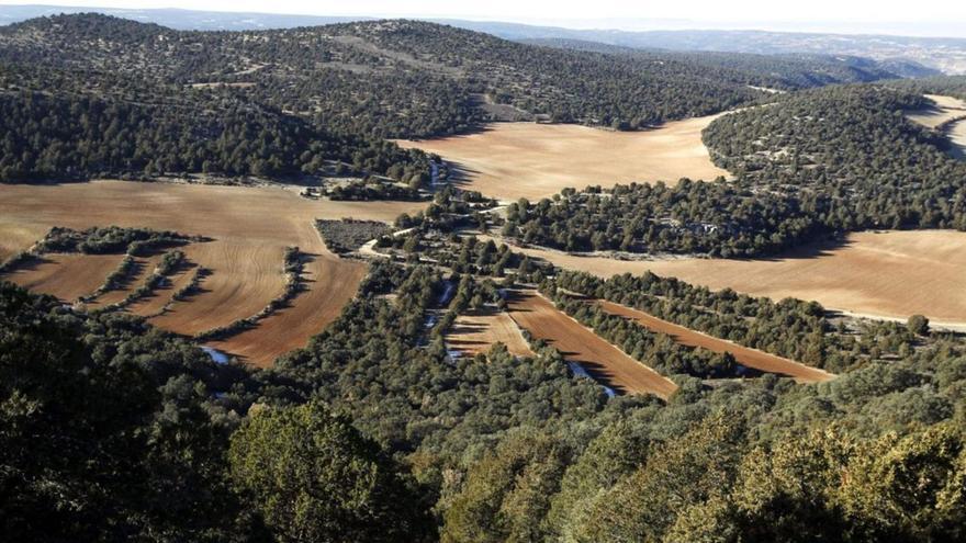 Vista panorámica del bosque de sabinas, encinas y carrascas desde ‘El Balconcillo’, mirador natural junto a la localidad de Labros (Guadalajara), en la Red Natura 2000. | EFE / Juanjo Guillén