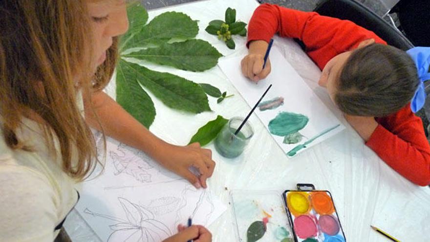 Campamentos y talleres educativos para niños este verano en Alicante