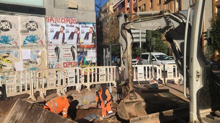 El gobierno reacciona y revisará alcorques y baches en Colón