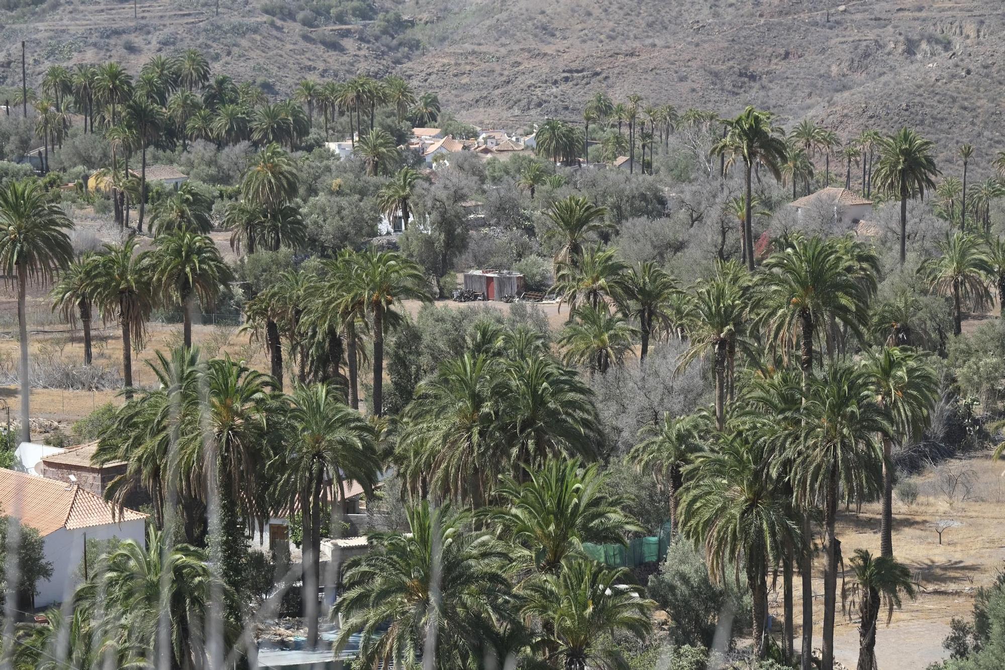 Incendio en Santa Lucía