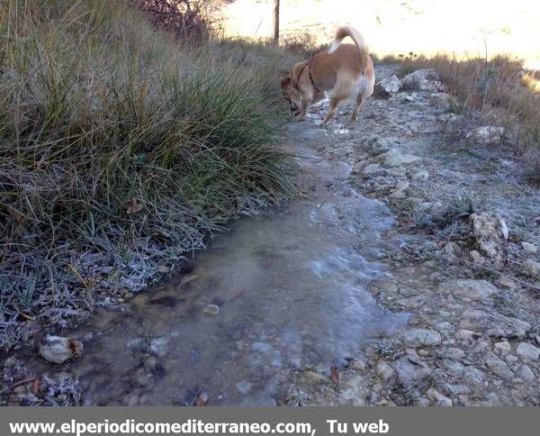 GALERÍA DE FOTOS - Primeras nieves en la provincia