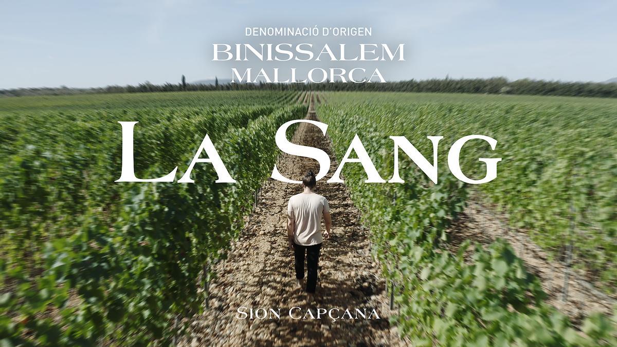 DO Binissalem presenta el proyecto audiovisual &#039;La sang&#039; de Sion Capçana