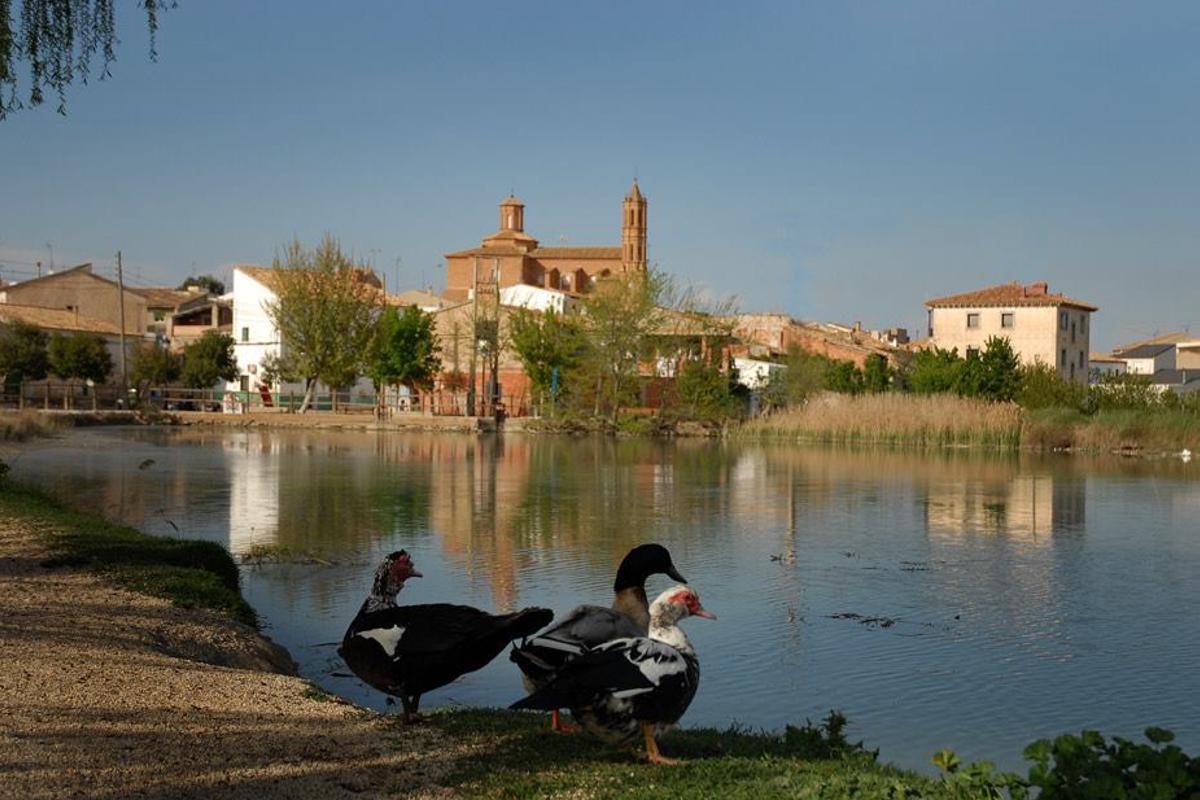 Codo, finalista para Pueblo del Año Sostenible 2025