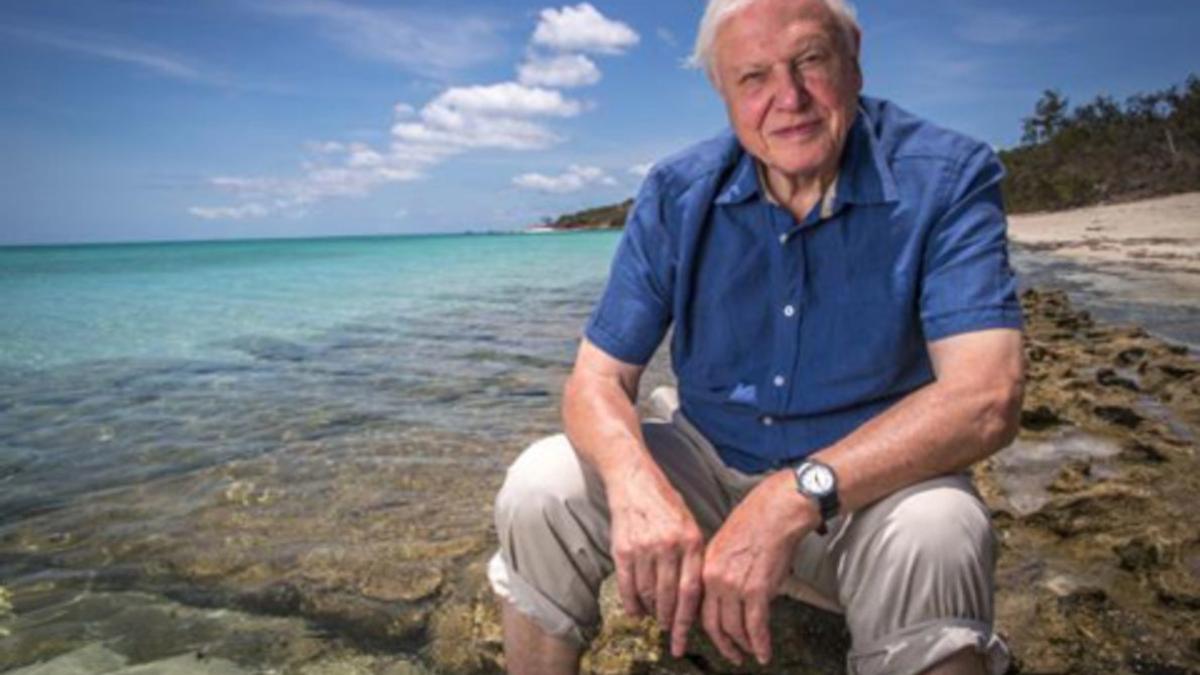 David Attenborough, en uno de sus documentales sobre la Gran Barrera de Coral.