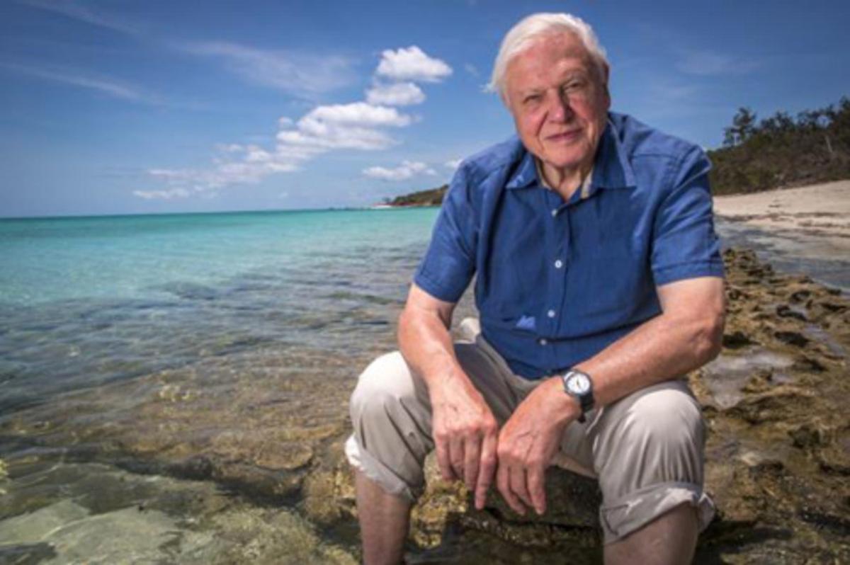 david attenborough at great barrier reef