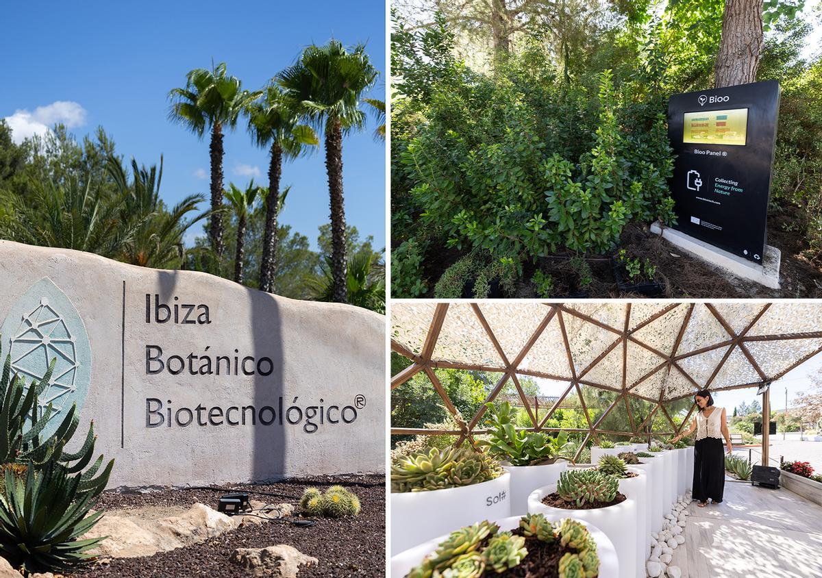 Ibiza Botánico Biotecnológico