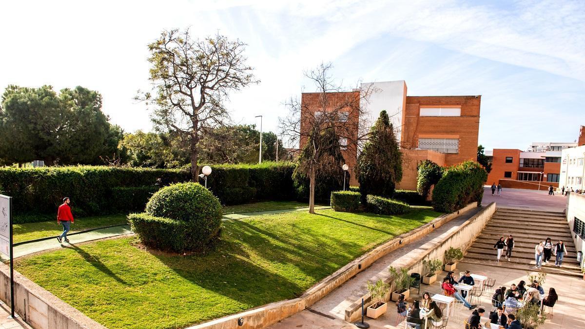 El alumnado de Florida Universitària cuenta con cafetería, una amplia biblioteca y más zonas de estudio.